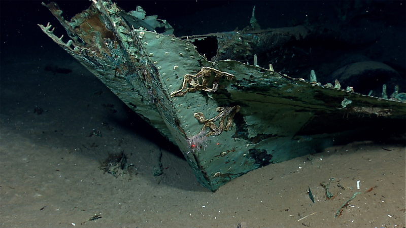 Illustration for article titled 30 Beautifully Haunting Shipwrecks From Around the World